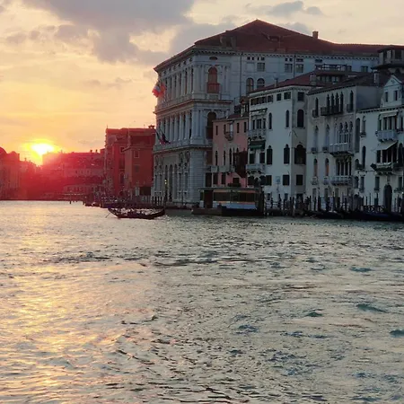 The Experience Daire *